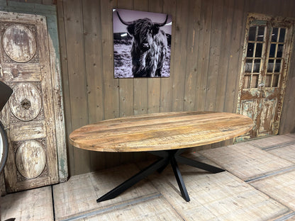 Eetkamertafel mangohout ovaal